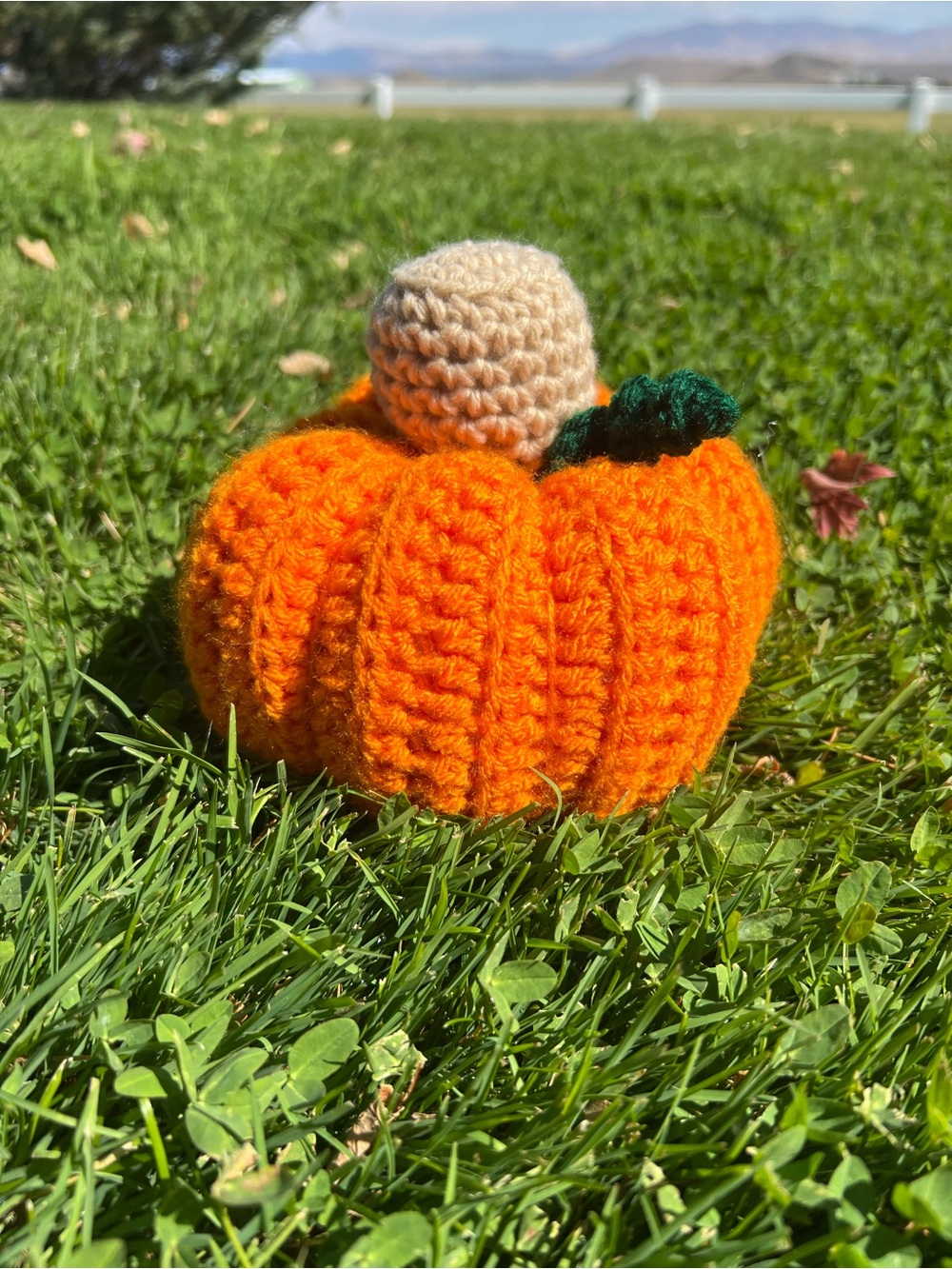 Hand Crocheted Halloween Thanksgiving Pumpkin Decor Plushie!